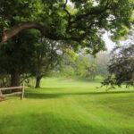 landscaping madison wi
