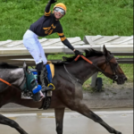 jockey silk design