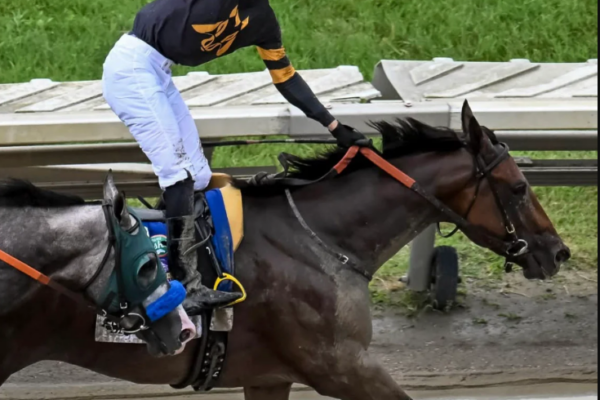 jockey silk design