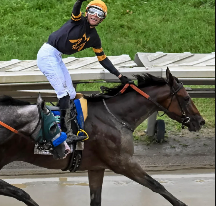 jockey silk design