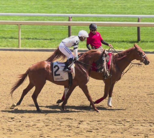 jockey silk design